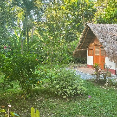 Cabanas Tucan Eco Hotel Capurganá 외부 사진