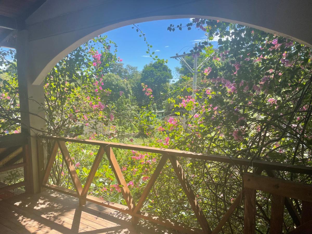 Cabanas Tucan Eco Hotel Capurganá 외부 사진