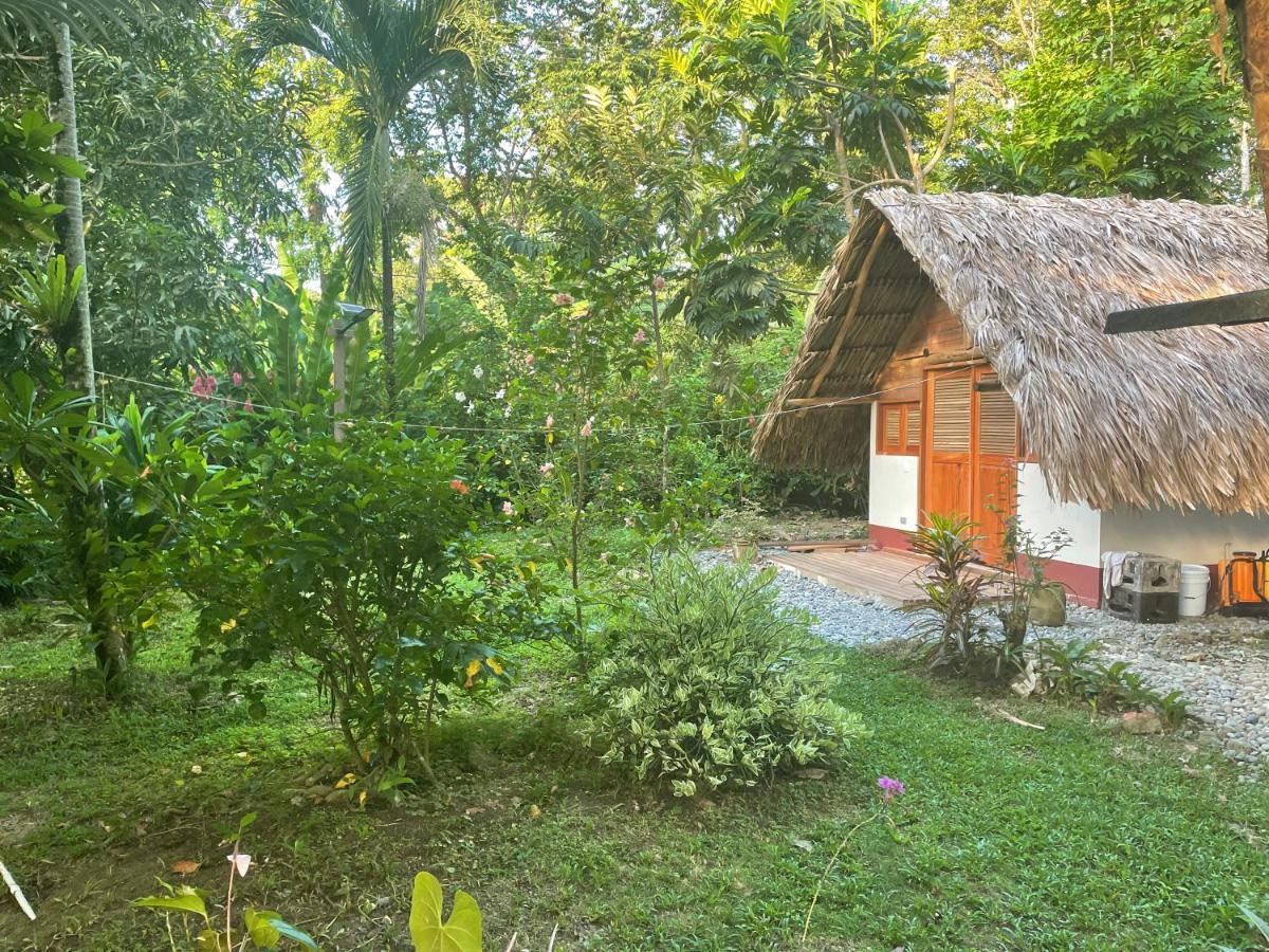Cabanas Tucan Eco Hotel Capurganá 외부 사진