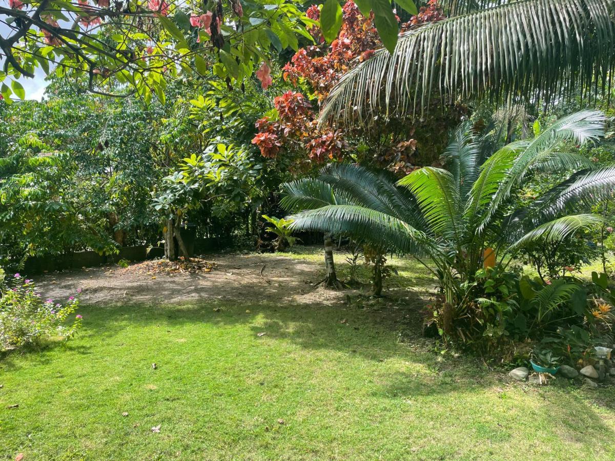 Cabanas Tucan Eco Hotel Capurganá 외부 사진