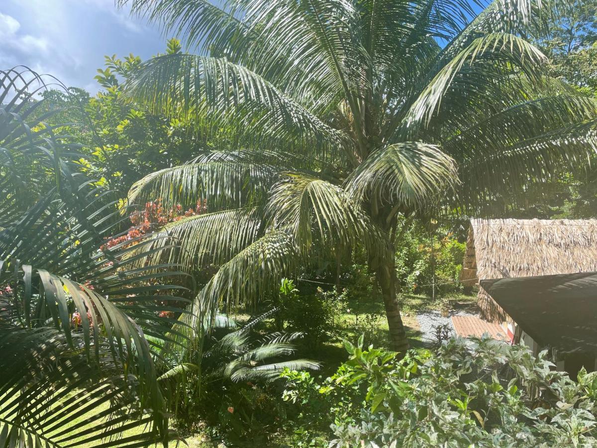 Cabanas Tucan Eco Hotel Capurganá 외부 사진