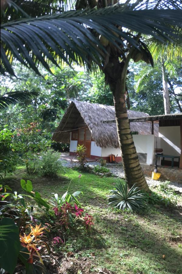 Cabanas Tucan Eco Hotel Capurganá 외부 사진